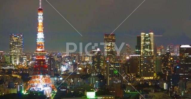 写真のタイトルが入ります