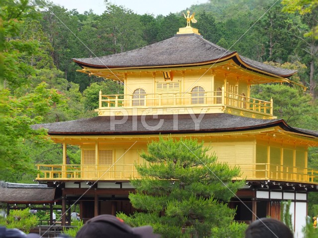 写真のタイトルが入ります