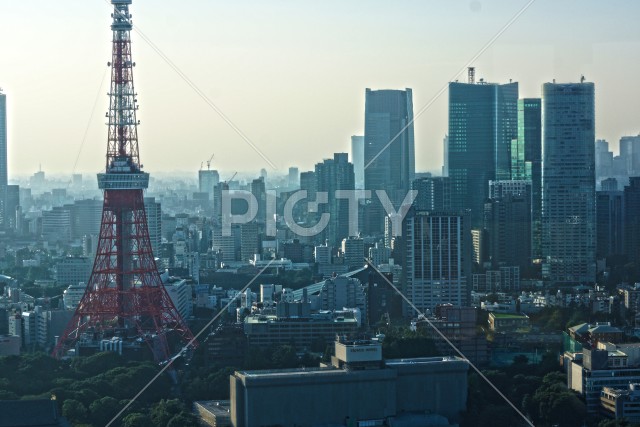写真のタイトルが入ります