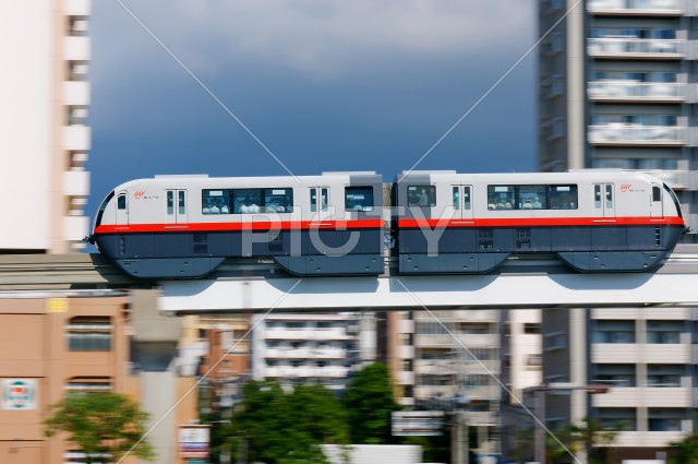 写真のタイトルが入ります