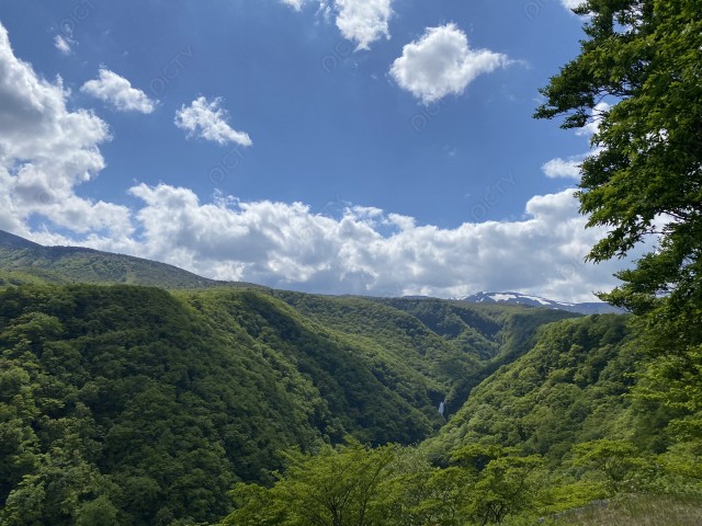 写真のタイトルが入ります