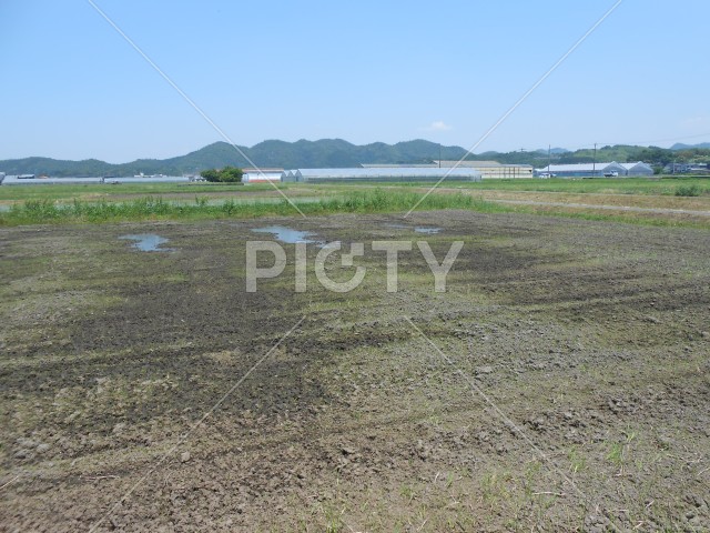 写真のタイトルが入ります