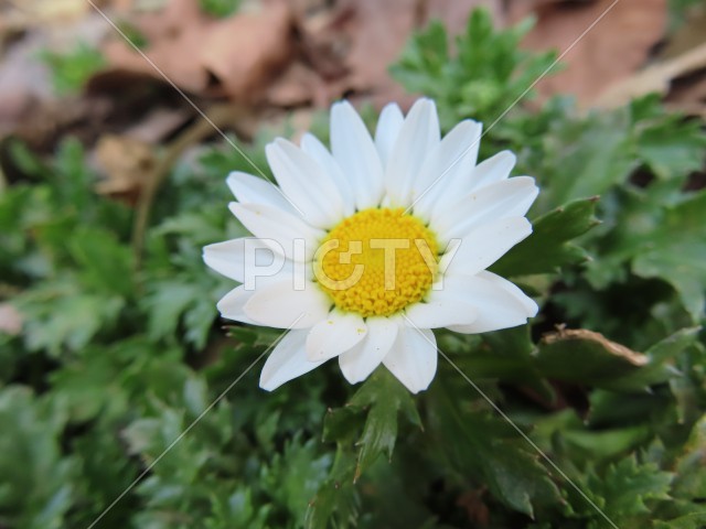 写真のタイトルが入ります