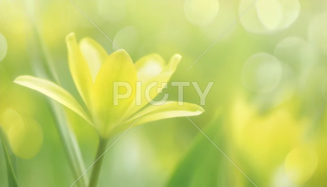 写真のタイトルが入ります