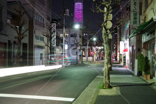 写真のタイトルが入ります