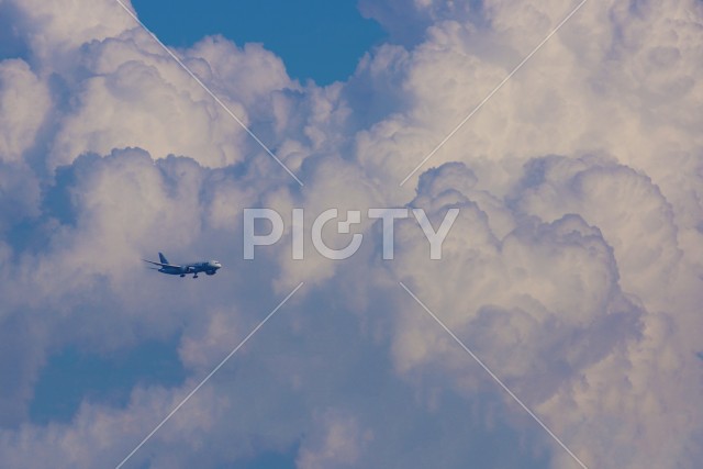 写真のタイトルが入ります