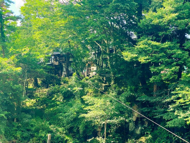 写真のタイトルが入ります