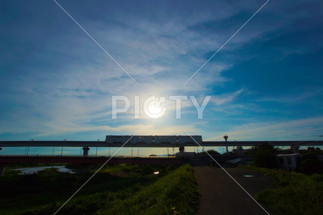 写真のタイトルが入ります