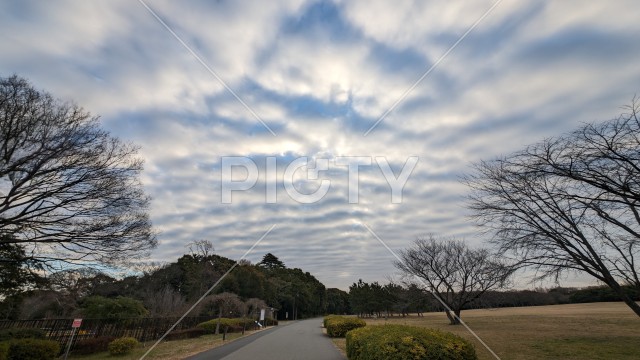 水元公園