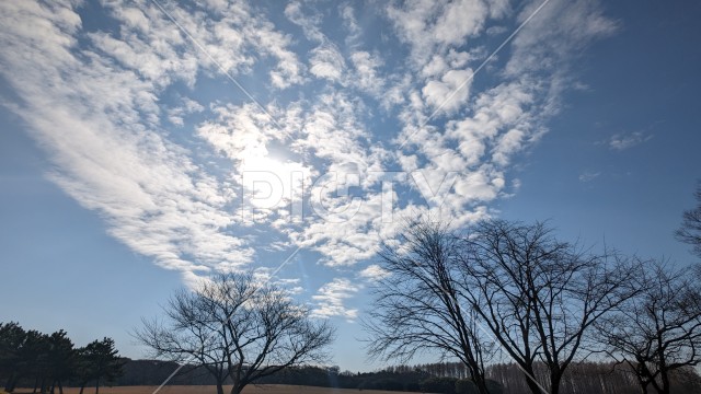 水元公園
