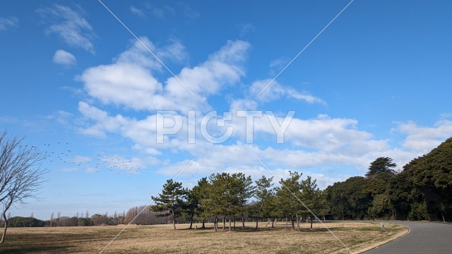 水元公園