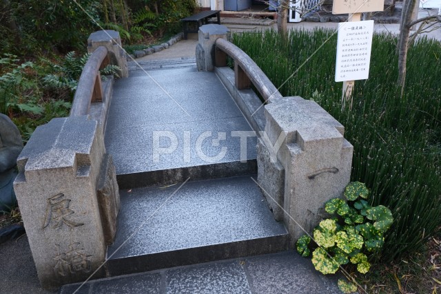 写真のタイトルが入ります