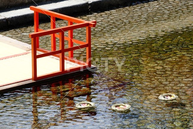 写真のタイトルが入ります