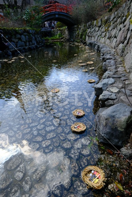 写真のタイトルが入ります