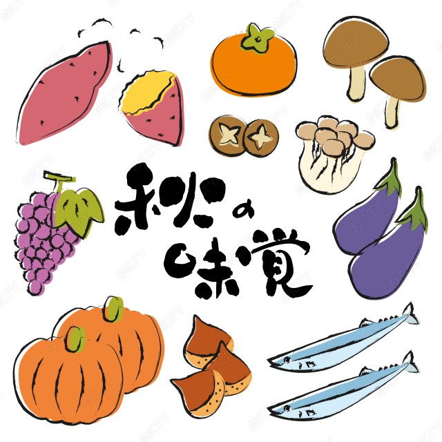 写真のタイトルが入ります