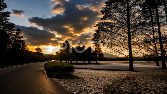 写真のタイトルが入ります