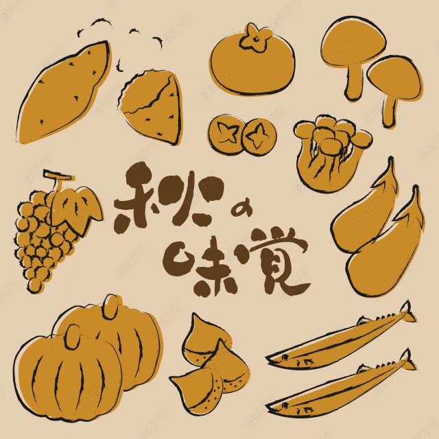 写真のタイトルが入ります