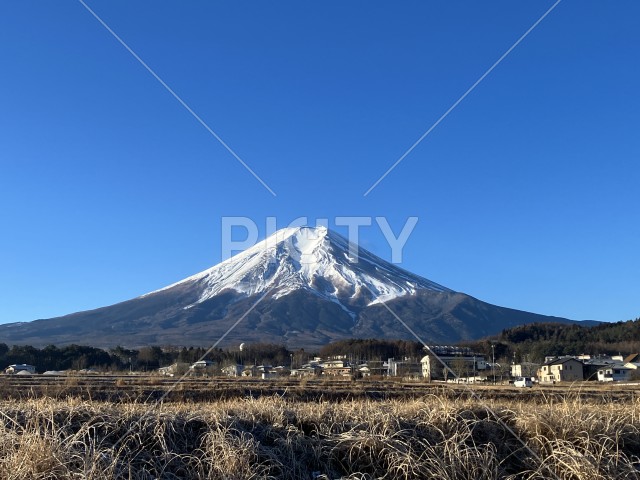 富士山