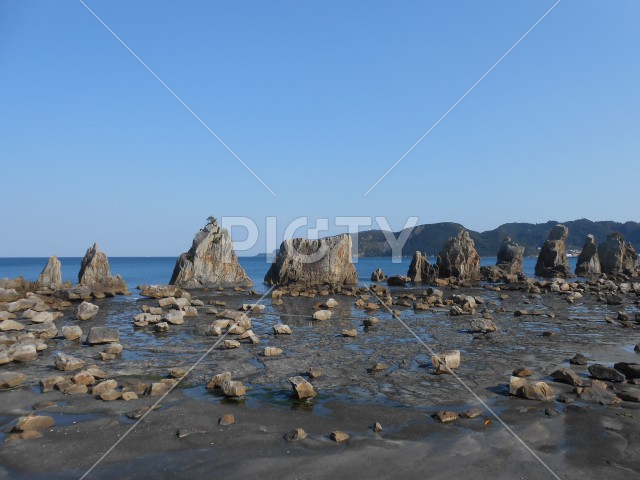 写真のタイトルが入ります