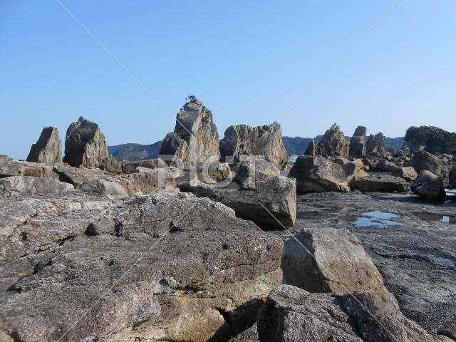 写真のタイトルが入ります