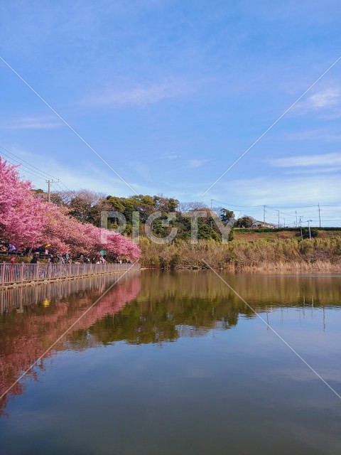 写真のタイトルが入ります