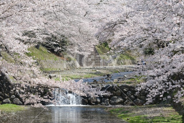 写真のタイトルが入ります