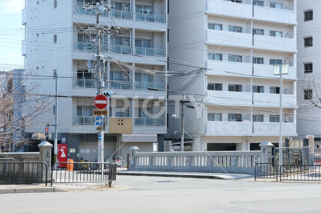 写真のタイトルが入ります