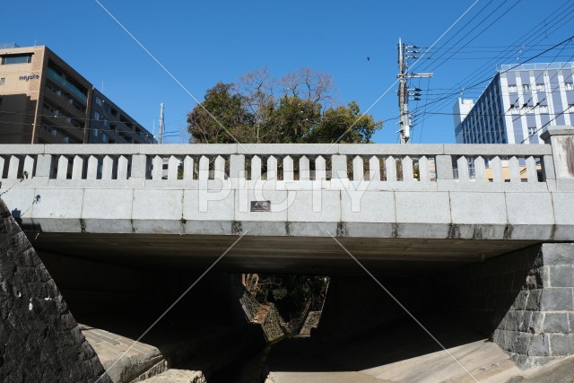 写真のタイトルが入ります