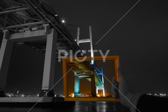 写真のタイトルが入ります