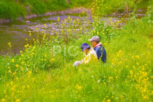 写真のタイトルが入ります