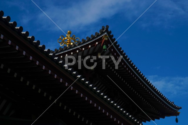 写真のタイトルが入ります