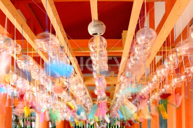 写真のタイトルが入ります
