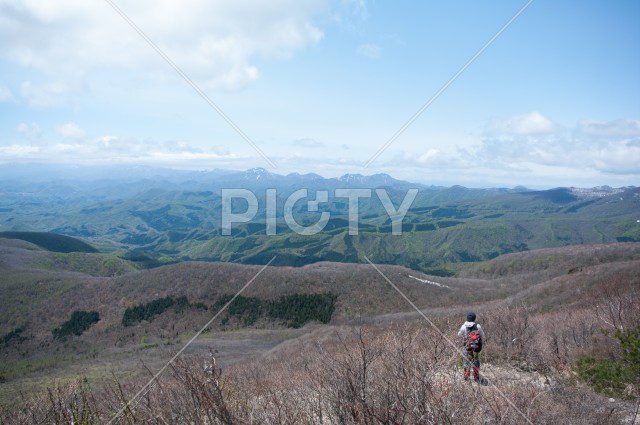 写真のタイトルが入ります