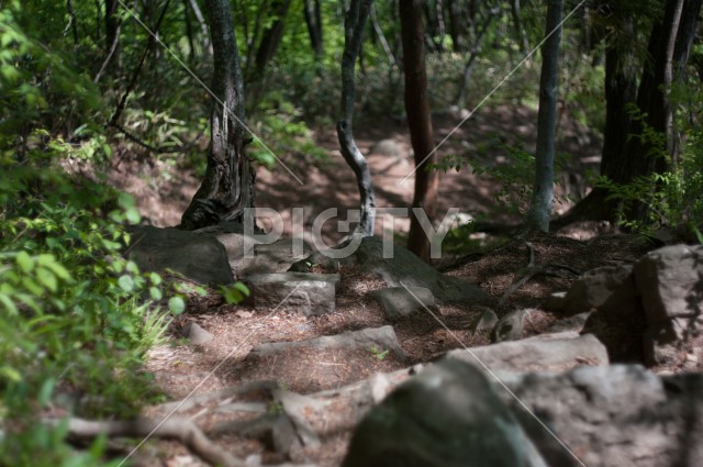 写真のタイトルが入ります