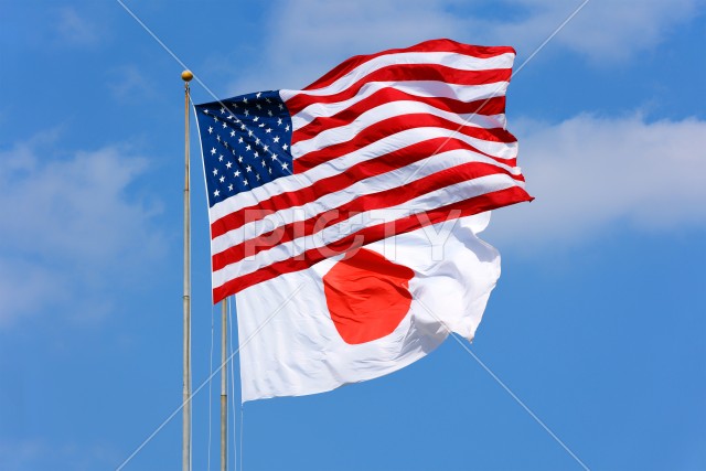写真のタイトルが入ります