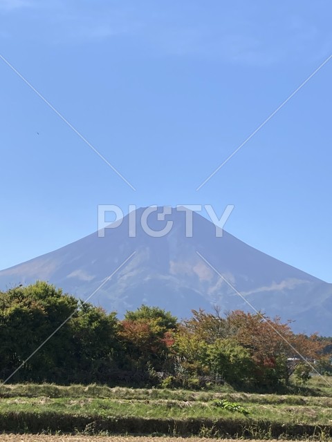 夏富士
