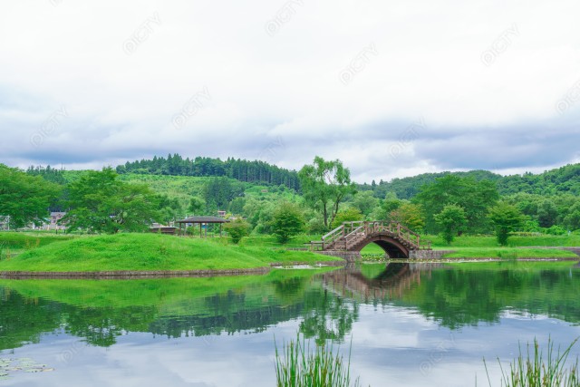 写真のタイトルが入ります