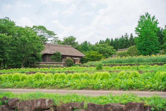 写真のタイトルが入ります