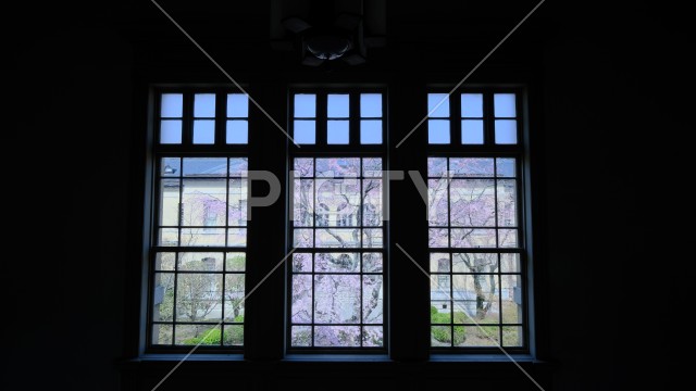 写真のタイトルが入ります