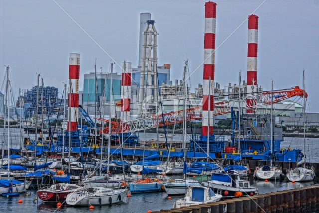 写真のタイトルが入ります