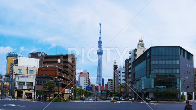 写真のタイトルが入ります