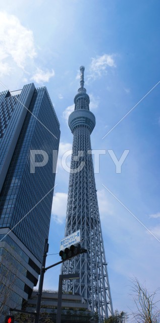 写真のタイトルが入ります
