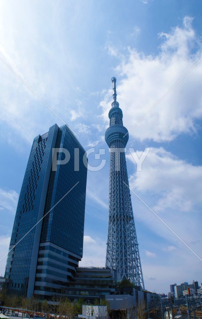写真のタイトルが入ります