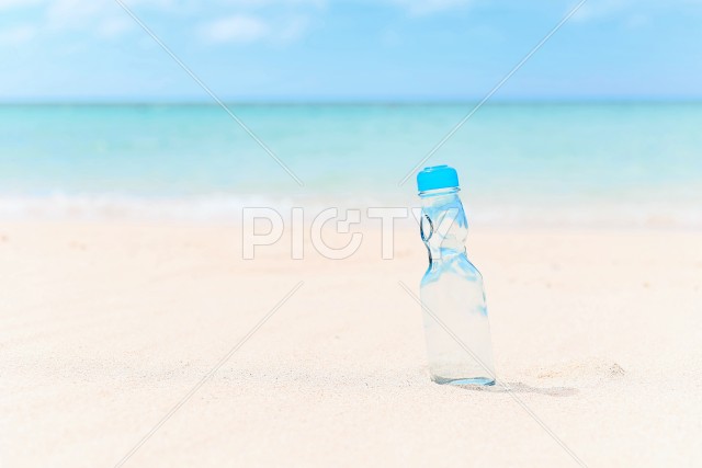 写真のタイトルが入ります