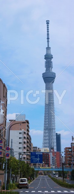 晴天の東京スカイツリー