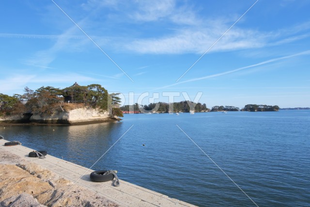 写真のタイトルが入ります