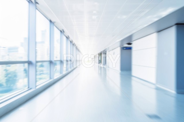 写真のタイトルが入ります