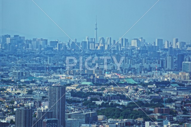 写真のタイトルが入ります