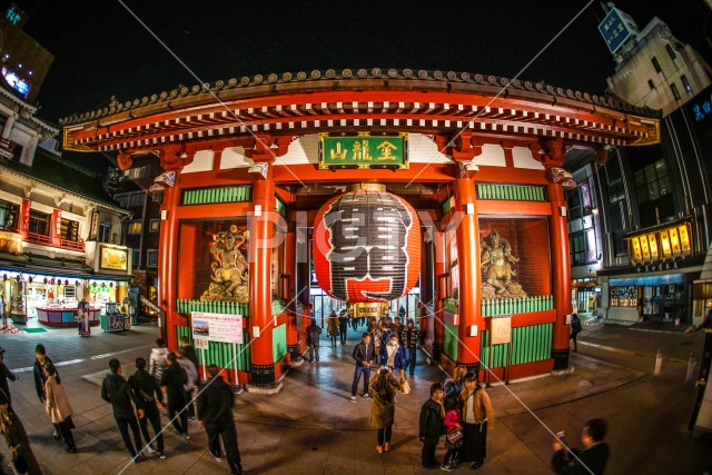 写真のタイトルが入ります