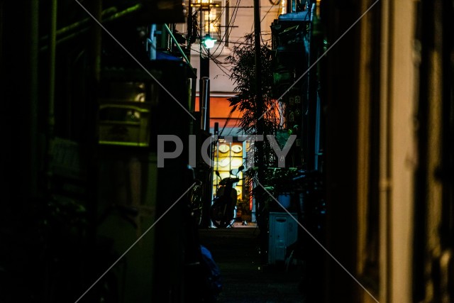 写真のタイトルが入ります